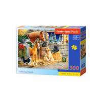 Castorland Castorland 300 db-os puzzle - Barátok a pajtában (B-030255)