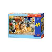 Castorland Castorland 120 db-os puzzle - Állatok a farmon (B-13340)