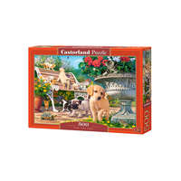 Castorland Castorland 500 db-os puzzle - Bújócska (B-53636)