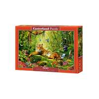 Castorland Castorland 500 db-os puzzle - Őfelsége a tigris (B-53711)