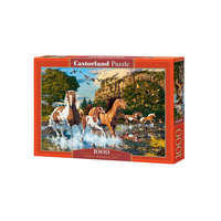 Castorland Castorland 1000 db-os puzzle - Csodás lovak (C-104789)