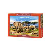 Castorland Castorland 1000 db-os puzzle - A Kilimandzsáró reggel (C-103188)