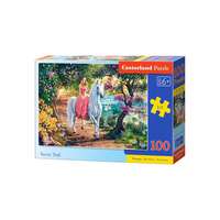 Castorland Castorland 100 db-os puzzle - Titkos út (B-111114)