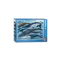 EuroGraphics EuroGraphics 1000 db-os puzzle - Whales and Dolphins (6000-0082)