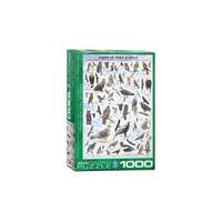 EuroGraphics EuroGraphics 1000 db-os puzzle - Birds of Prey & Owls (6000-0316)