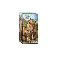 EuroGraphics EuroGraphics 250 db-os puzzle - Tigers (8251-5559)