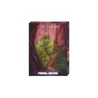 Heye Heye 1000 db-os puzzle - Power of Nature - Singing Canyon (29944)