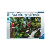 Ravensburger Ravensburger 2000 db-os puzzle - Színes papagájok a dzsungelben (17111)
