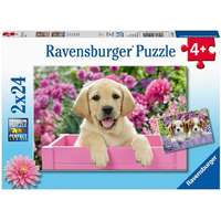 Ravensburger Ravensburger 2 x 24 db-os puzzle - Szőrös barátok (05029)