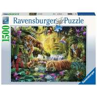 Ravensburger Ravensburger 1500 db-os puzzle - Békés tigrisek (16005)