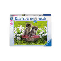 Ravensburger Ravensburger 1000 db-os puzzle - Piknik a réten (19480)
