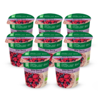 Activus Auga BIO Teljes kiőrlésű zabdara 8 x 60 g erdei gyümölcs