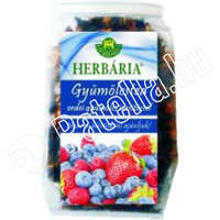 Herbária Gyümölcstea Darabokkal Fol.120G