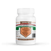 gomba DR. Bio Shiitake gomba őrlemény kapszulában