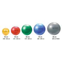 QMED Fizioball pumpával 65 cm 150 kg-ig