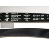 Bordásszíj 1243 HMA 8 bordás 481935818143 # eredeti, gyári#