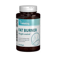  Vitaking Fat Burner - Garcinia kivonattal (90) gkaps
