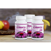  Netamin Echinacea 380 mg kapszula