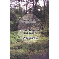 Pápa Egy eltűnt folyó nyomában - A pápai Tapolca-patak az 1960-as évek elején