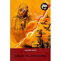 Móra Ferenc Ifjúsági Könyvk. Sárga villámcsapás (Delfin könyvek)