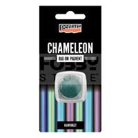 Pentacolor Kft Pentart Rub-on pigment chameleon effect 0,5 g rainforest (esőerdő) 41362