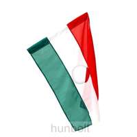 Hunbolt Nemzeti színű lyukas zászló, 56-OS EMLÉKZÁSZLÓ 40x60 cm
