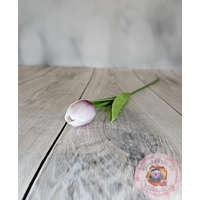  Tulipán gumi cirmos lila