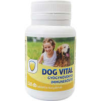 Dog Vital Dog Vital gyógynövényes immunerősítő 60 db