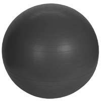 XQ Max XQMAX Yoga labda pumpával, 55 cm, fekete