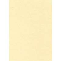 APLI APLI A4 95 g pergamen hatású pezsgő színű előnyomott papír (100 lap)