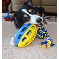 Petsport Petsport Flea Flicker labda rágójáték jutalomfalattal tölthető kutyajáték