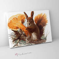 Makana Erdei mókus - Számfestő készlet, kerettel (30x40 cm)