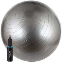 Avento Avento ABS Fitball Silver gimnasztika labda pumpával, 65 cm, ezüst
