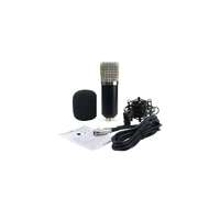 RPP Klasszikus kondenzátor mikrofon podcast-hez, kiegészítőkkel, ezüst színű védőráccsal