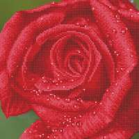 Diamond Dotz gyémántfestő kép, harmatcseppes rózsa