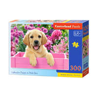 Ramiz Castorland puzzle, Labrador kiskutya a rózsaszín dobozban, 300 darab