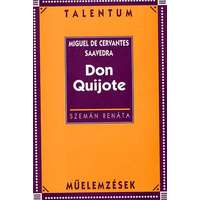  Don Quijote - Műelemzések