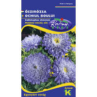  Őszirózsa Prinzess sötétkék virágú kék (Callistephus chinensis) 1 g