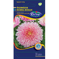 Őszirózsa Prinzess virágú rózsaszín (Callistephus chinensis) 1 g