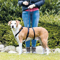 Trixie Trixie masszív tartó hám kutyáknak (75-100 cm | 25 mm)