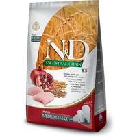 Natural & Delicious N&D Dog Puppy Medium/Maxi Chicken & Pomegranate Ancestral Grain 2.5 kg