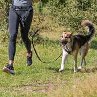 Trixie Trixie Dog Activity derékpóráz közepes és nagytestű kutyákhoz (Deréköv: 70-120 cm hosszú / 12 cm...