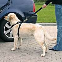Trixie Trixie autós biztonsági öv + hám kutyáknak (M; Haskörméret: 50-70 cm; pl. Border Collie)