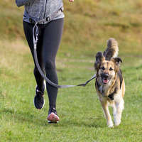 Trixie Trixie Dog Activity öv pórázzal közepes és nagytestű kutyáknak (Öv: 75-120 cm / 9 cm | Póráz: 120...