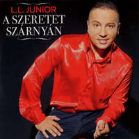  L.L. Junior: A szeretet szárnyán (CD) Nótár Mary