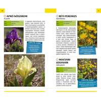  Vadvirágok - Természetbarátok zsebkönyve