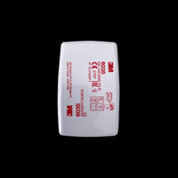 3M 3M 6035 P3 (FFP3) gázszűrőbetét - 1 pár