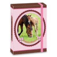 Ars Una My Horse füzetbox A5-ös