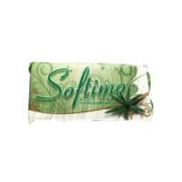 Softimo Softimo aloe vera papírzsebkendő 100db-os kiszerelésben