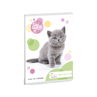 Ars Una Ars Una: Cuki állatok - Brit rövidszőrű macska 2. osztályos vonalas füzet 32 lapos A/5
